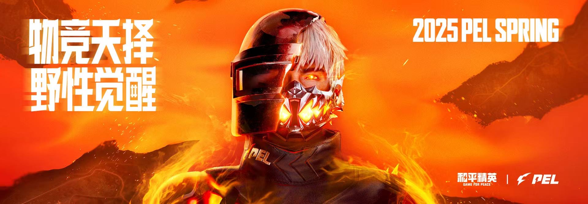 和平精英「路易威登」外挂